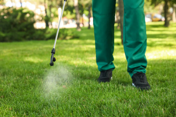 Wasp Removal Services in New Cumberland, PA