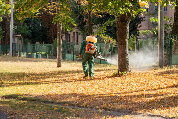 Best Mosquito Control Services  in New Cumberland, PA