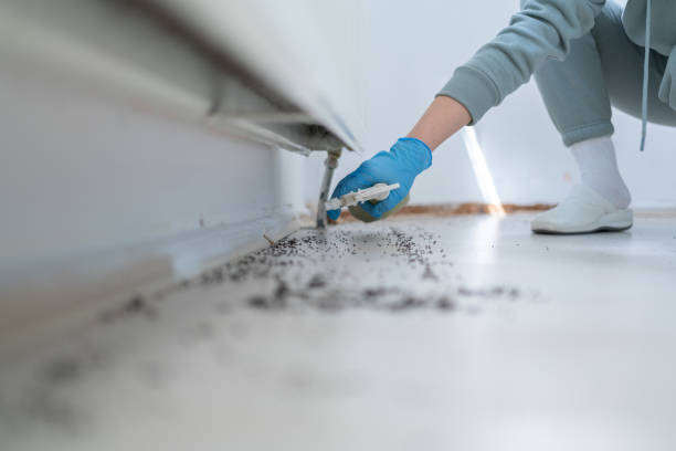 Best Local Pest Control Services  in New Cumberland, PA
